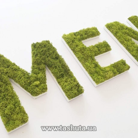 Żywe litery i napisy z mchu, H=250mm