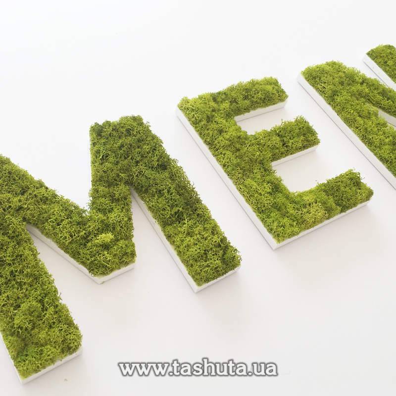 Living Moss Letters and Lettering, H=400mm