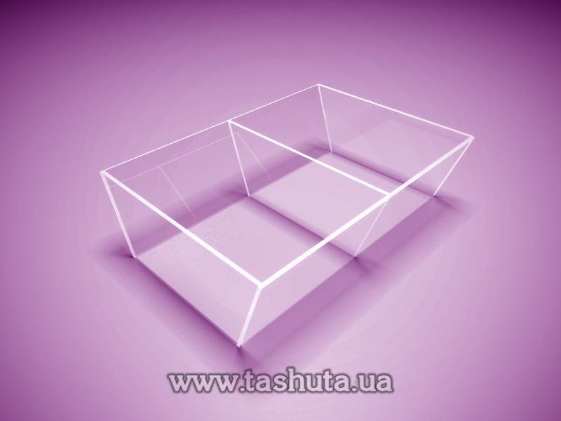 "Trapezium" Acrylic Tray, 2 Sections 500x350x150mm