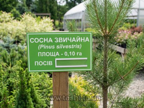 Табличка на дверь ПВХ с карманом, 200х150 мм