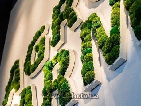 Litery lub logo z mchu przestrzenne, H=200mm