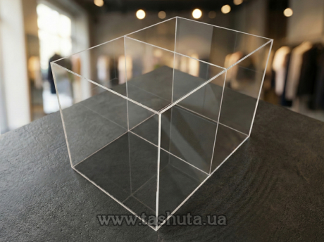 Коробка, контейнер из оргстекла с перегородкой 300х400х200 мм