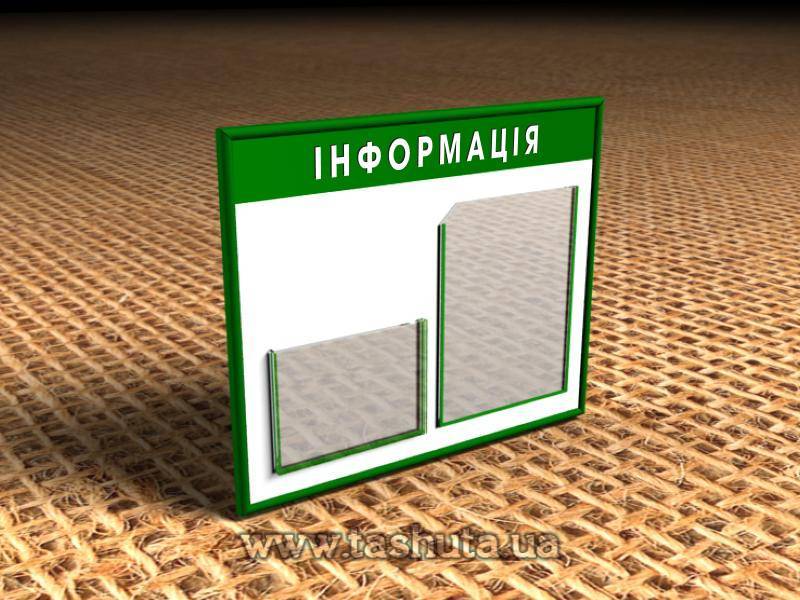 Information Board with 1 A4 Pocket and 1 A4 Pocket (for Book), 500x410mm