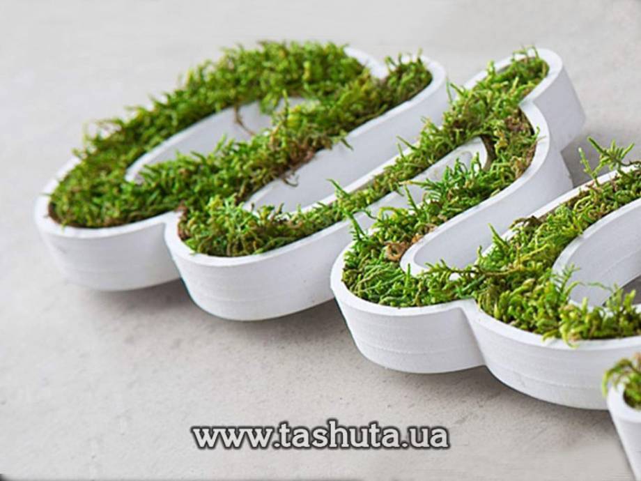 Living Moss Letters and Lettering, H=500mm