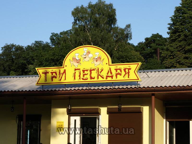 Shaped Illuminated Advertising Sign