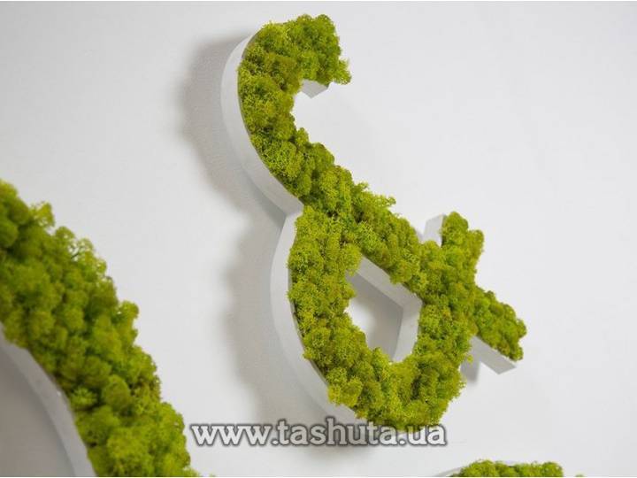 Буквы или логотип из мха объемный, H=600мм