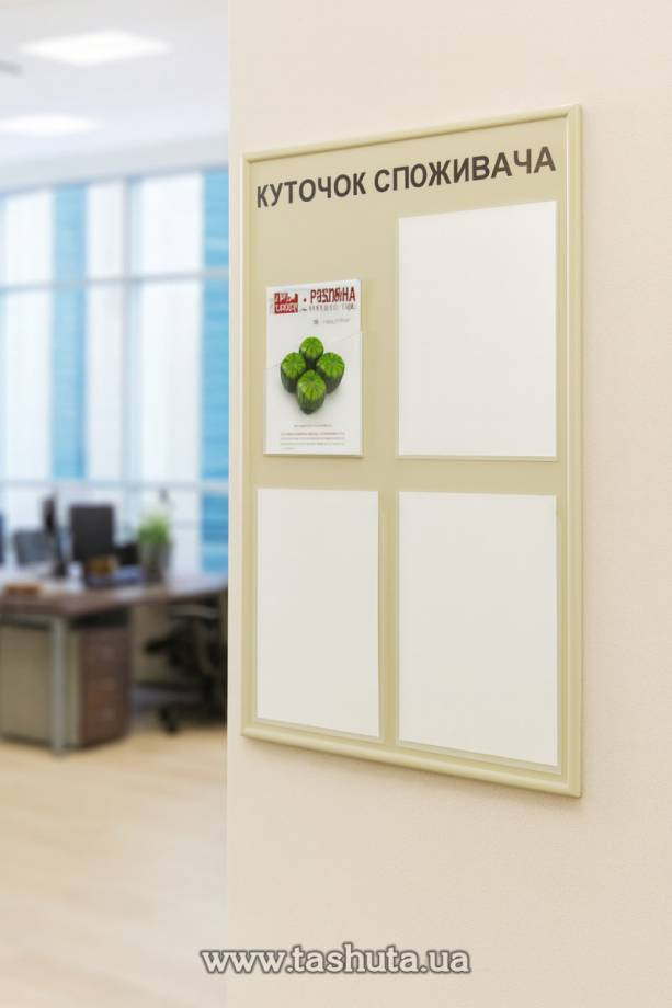Information Board with 3 A4 Pockets and 1 A4 Pocket (for Book), 500x740mm