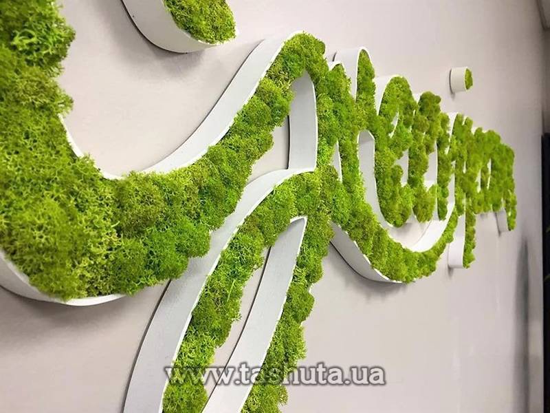 Буквы или логотип из мха объемный, H=600мм
