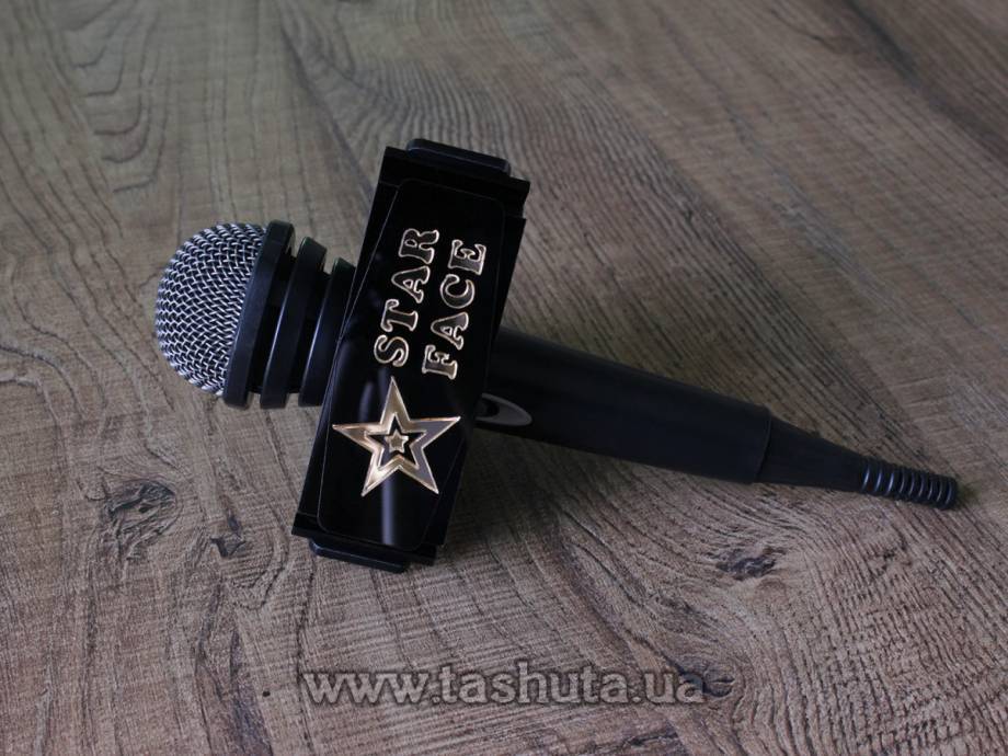 Triangular Microphone Flag with 3D Logo