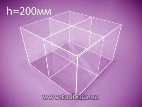 Коробка акриловая 300х300х200 мм, 4 отделения