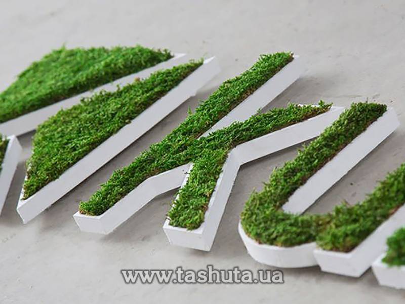 Living Moss Letters and Lettering, H=400mm