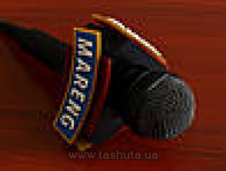 Насадка для микрофона треугольная с объемным логотипом (Диаметр отвертия: 55мм; )