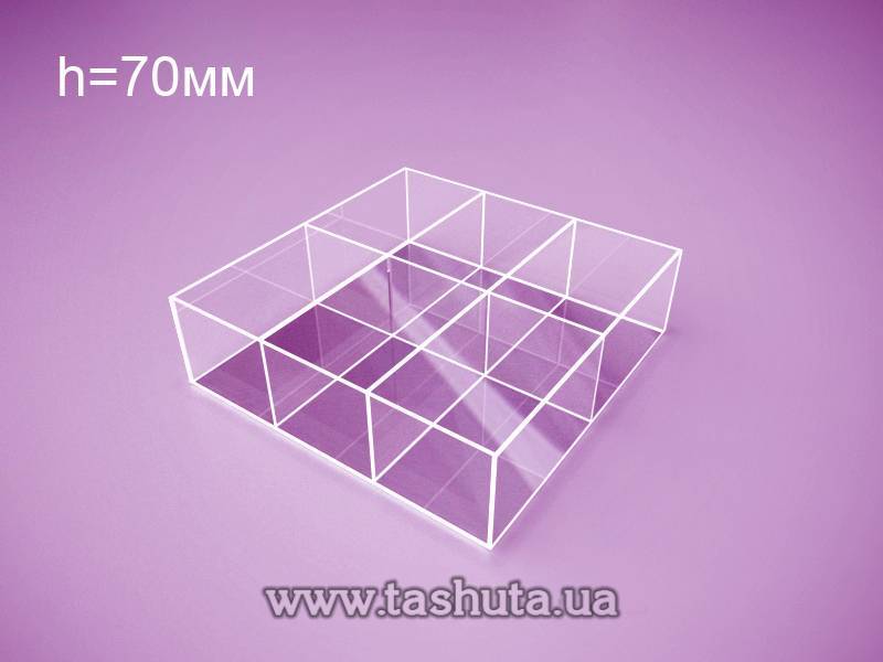 Acrylic Container 300x300x70mm, 6 Sections