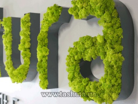 Litery lub logo z mchu przestrzenne, H=200mm