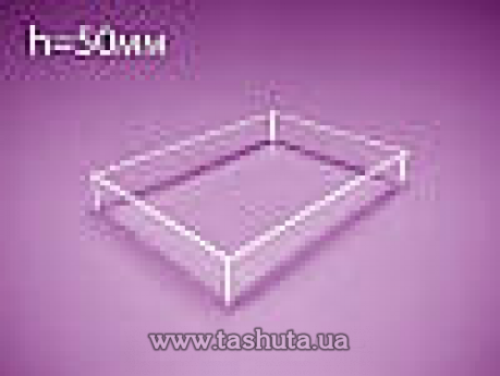 Коробка, контейнер из оргстекла 300х300х50 мм (Толщина акрила : 3 мм;  Вид: Не герметичная;)