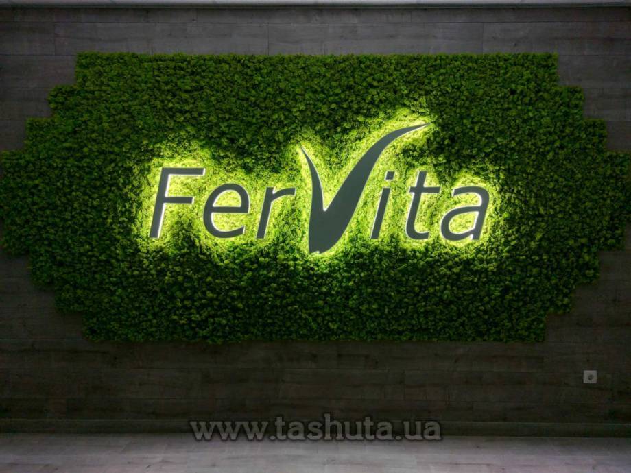 Two-Layer Halo-Lit Letters, h-200mm