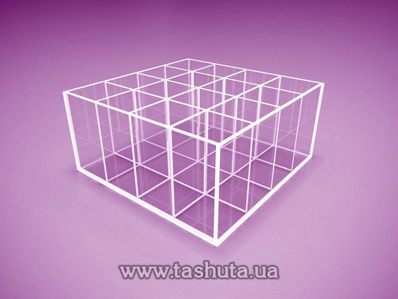 Square Container with 16 Cells 200x200mm