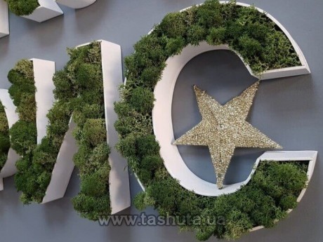 Litery lub logo z mchu przestrzenne, H=200mm