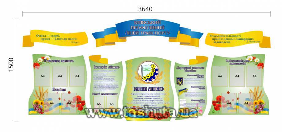 Shaped School Board Set