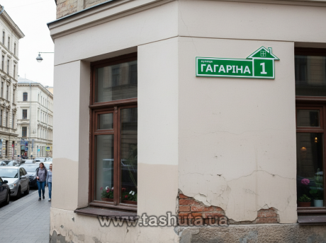 Уличная табличка с домиком 600х230 мм