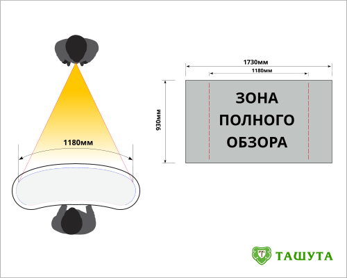 Видимая зона изображения на промостоле